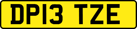 DP13TZE