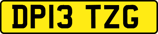 DP13TZG