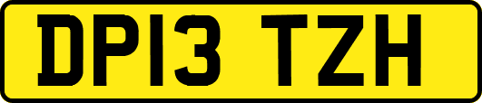 DP13TZH
