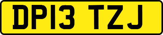 DP13TZJ