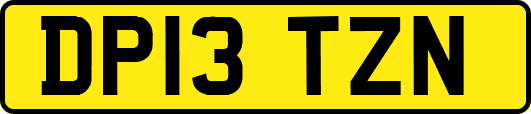 DP13TZN
