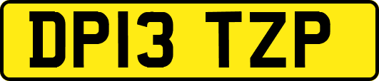 DP13TZP