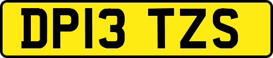 DP13TZS