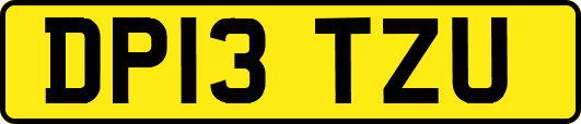DP13TZU