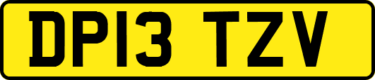 DP13TZV