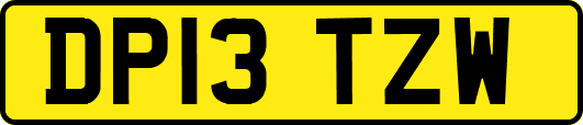 DP13TZW