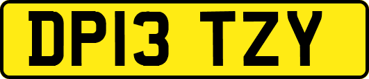 DP13TZY