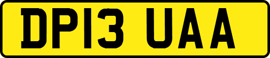 DP13UAA