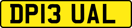 DP13UAL