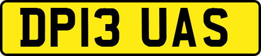 DP13UAS
