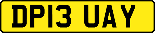 DP13UAY