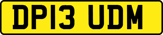 DP13UDM