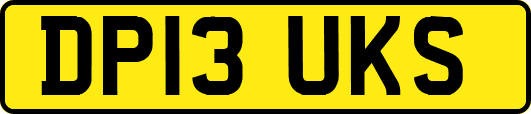 DP13UKS