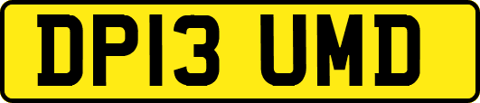DP13UMD