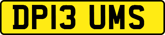 DP13UMS