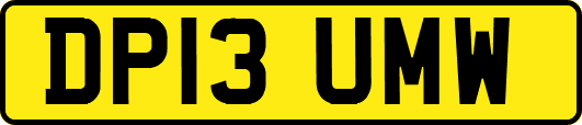 DP13UMW