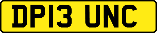 DP13UNC