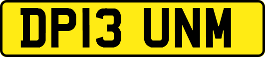 DP13UNM