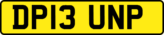 DP13UNP