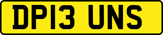 DP13UNS