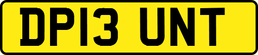 DP13UNT