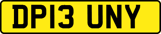 DP13UNY