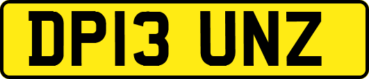 DP13UNZ