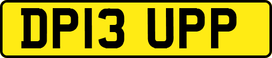 DP13UPP