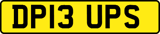 DP13UPS