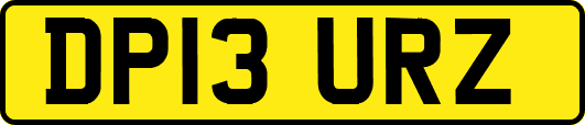 DP13URZ