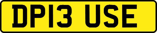 DP13USE