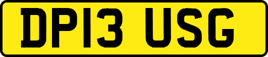 DP13USG