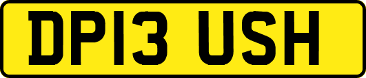 DP13USH