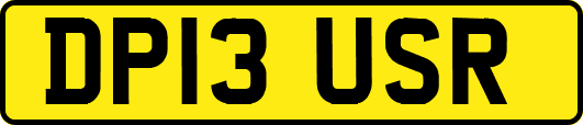 DP13USR