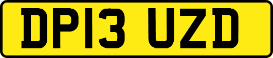 DP13UZD