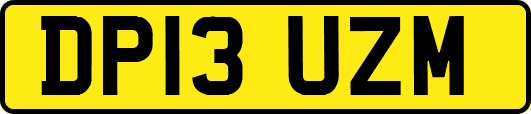DP13UZM