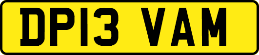 DP13VAM