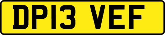 DP13VEF