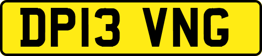 DP13VNG