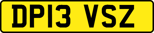 DP13VSZ