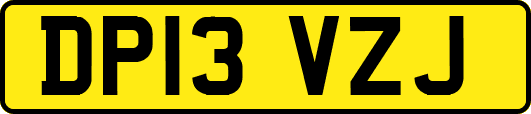 DP13VZJ