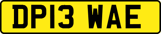 DP13WAE