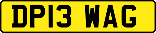 DP13WAG