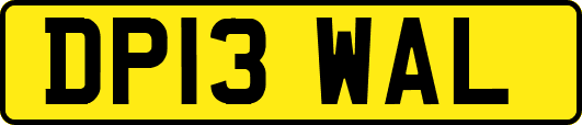DP13WAL