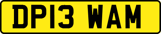 DP13WAM