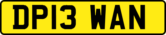 DP13WAN