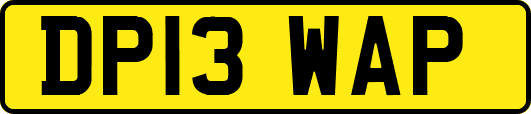 DP13WAP