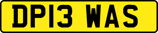 DP13WAS