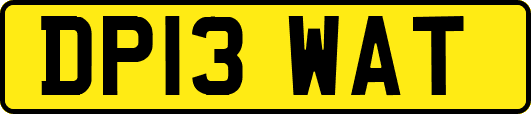 DP13WAT