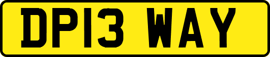 DP13WAY